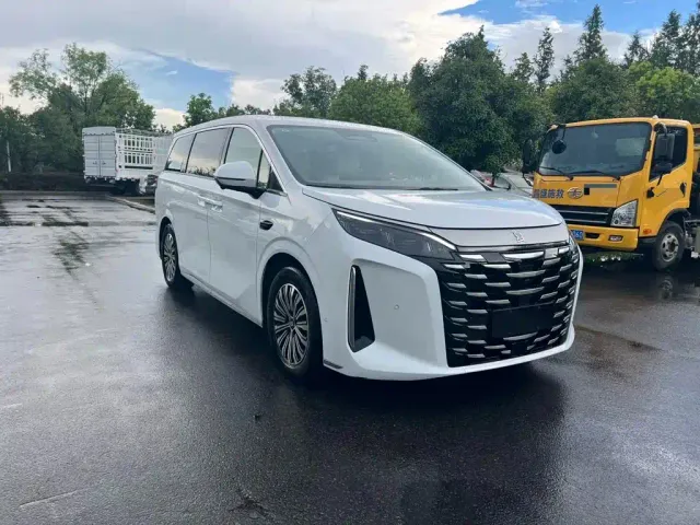 BYD Xia — Фото автомобиля 2