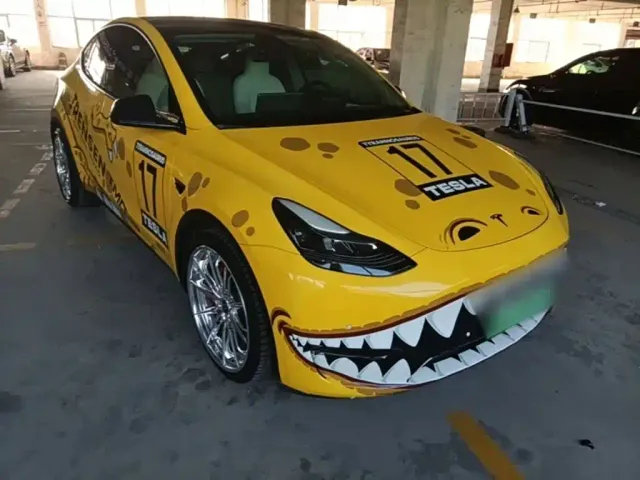 Tesla Model Y — Фото автомобиля 3