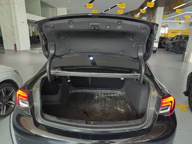 Buick Regal — Фото автомобиля 18