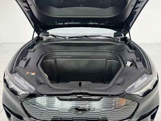 Ford Mustang Mach-E — Фото автомобиля 7