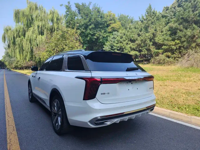 Hongqi E-HS9 — Фото автомобиля 6