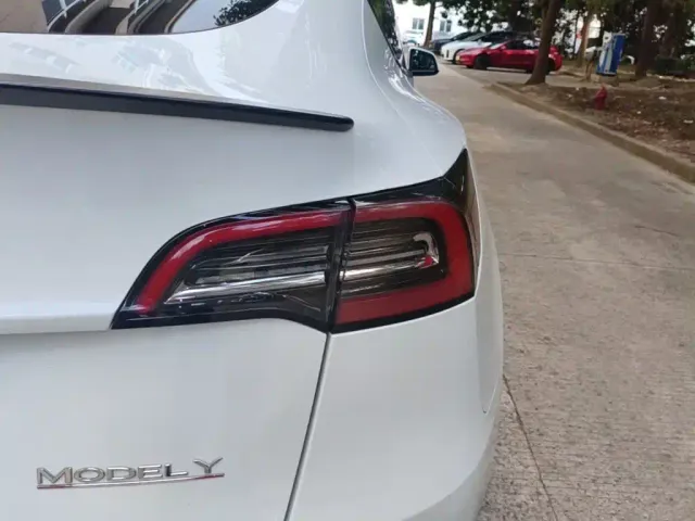 Tesla Model Y 2021 Performance High-Performance AWD — Фото автомобиля 7