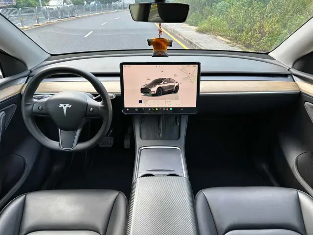 Tesla Model Y — Фото автомобиля 14