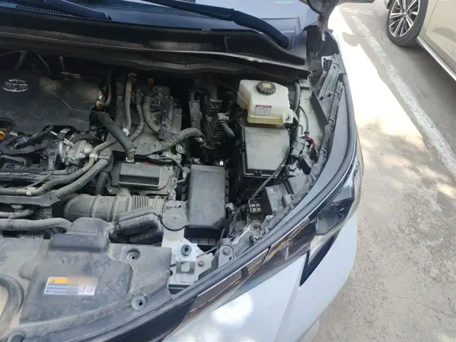 Toyota Sienna — Фото автомобиля 21
