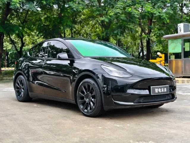 Tesla Model Y — Фото автомобиля 5