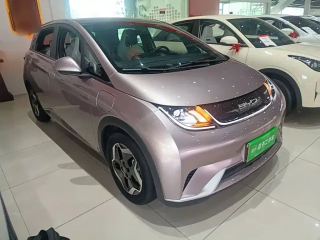 BYD Dolphin 2021 Model 405km Fashion Edition — Фото автомобиля 3