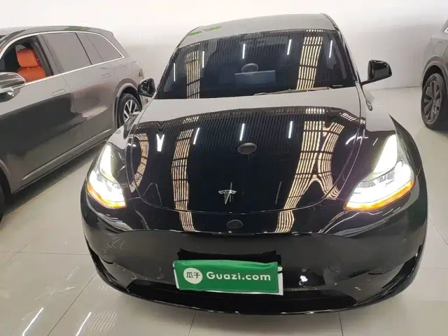 Tesla Model Y — Фото автомобиля 2