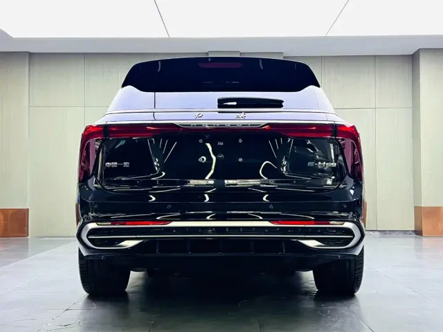 Hongqi E-HS9 — Фото автомобиля 5