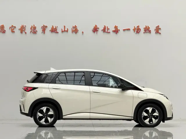 BYD Dolphin — Фото автомобиля 4