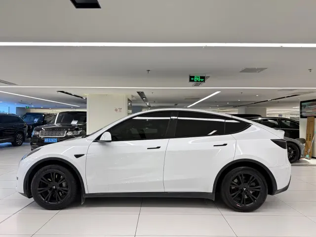Tesla Model Y — Фото автомобиля 4