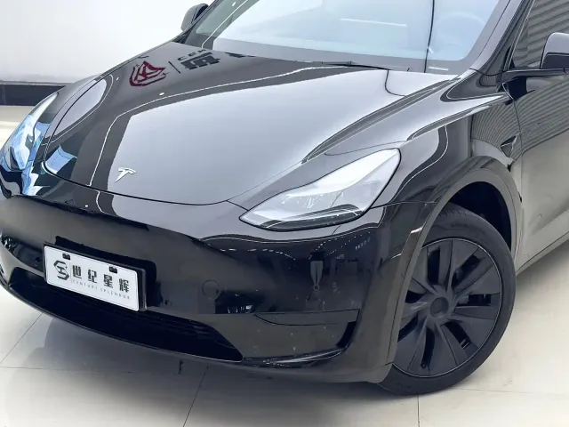 Tesla Model Y — Фото автомобиля 3