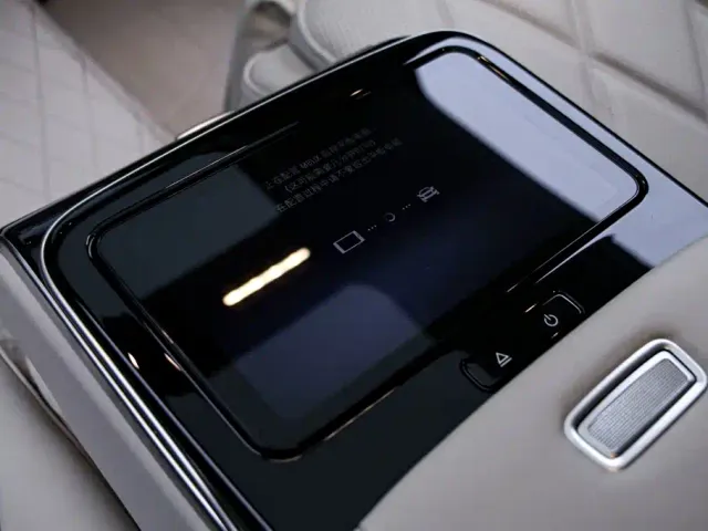Mercedes-Benz Maybach S-Class — Фото автомобиля 20