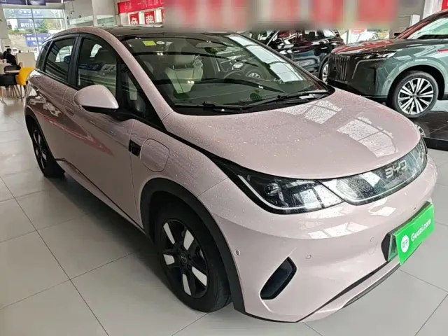 BYD Dolphin — Фото автомобиля 3