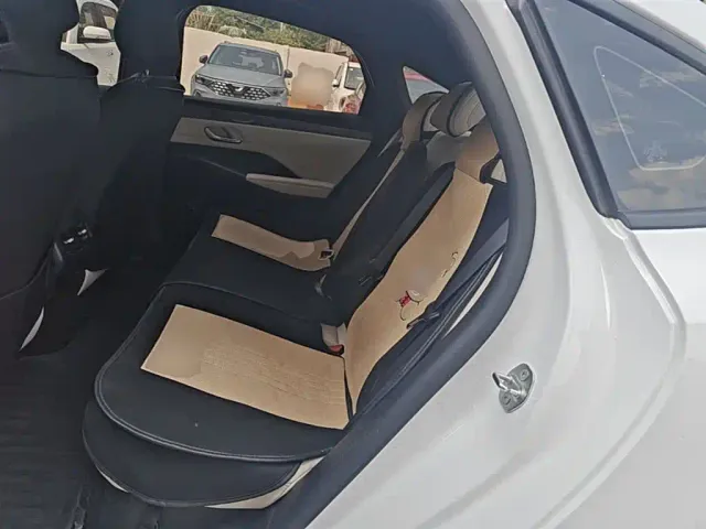BYD Qin PLUS — Фото автомобиля 16