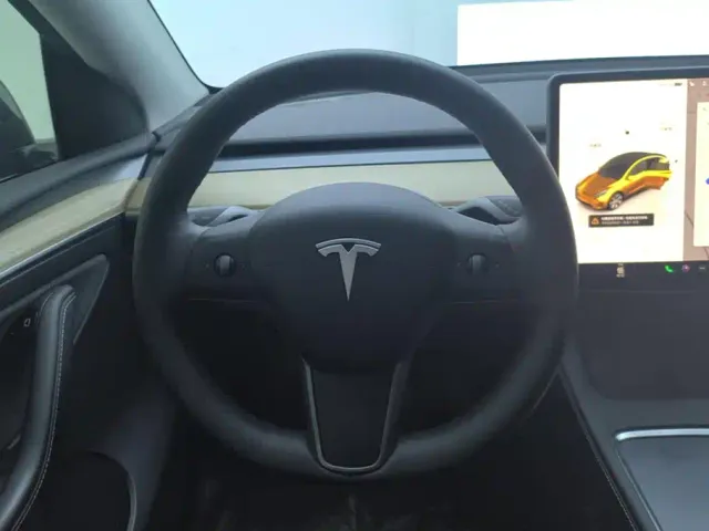 Tesla Model Y — Фото автомобиля 15