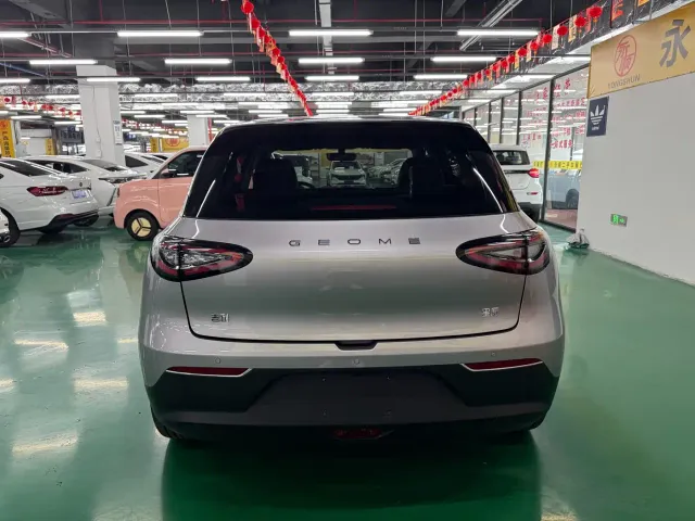 Geely Starry Wish — Фото автомобиля 8