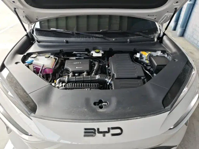 BYD Sealion 06 — Фото автомобиля 19