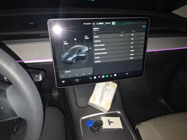 Tesla Model Y — Фото автомобиля 9
