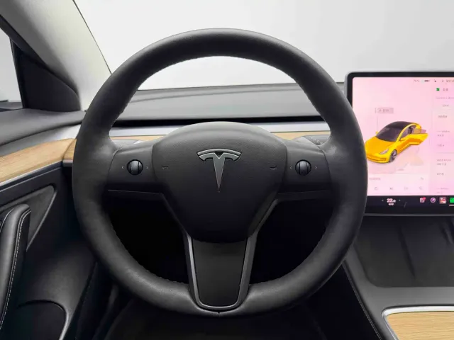 Tesla Model 3 — Фото автомобиля 14