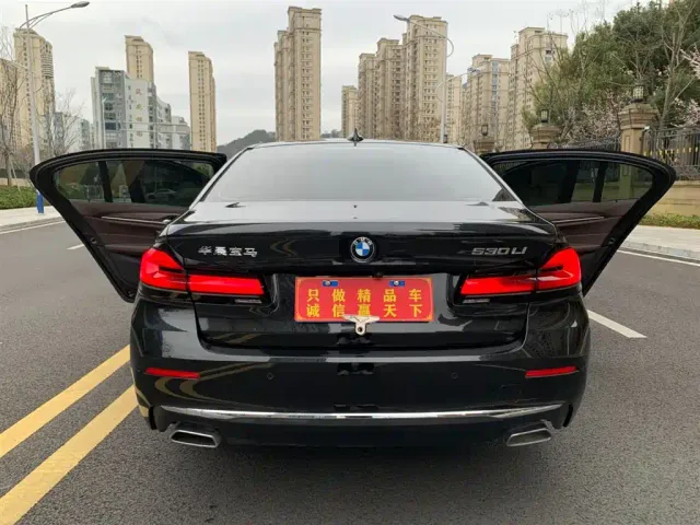 BMW 5 Series — Фото автомобиля 6
