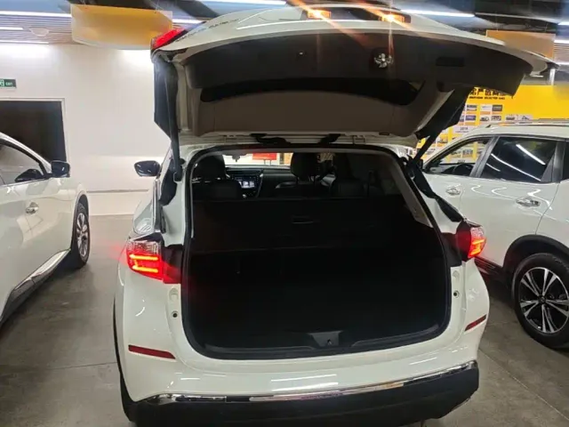 Nissan Murano — Фото автомобиля 18