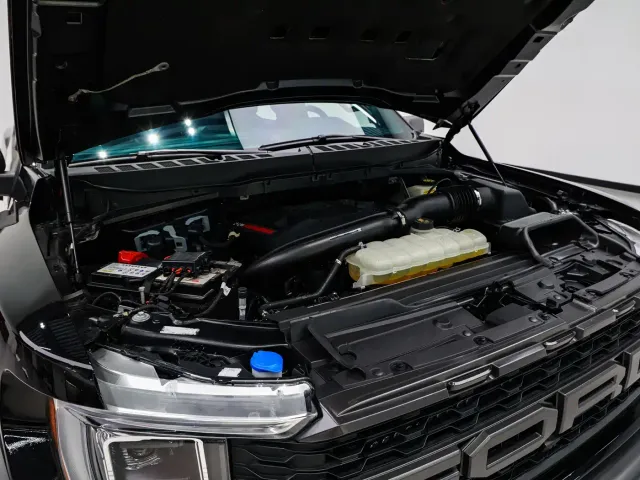 Ford F-150 Raptor — Фото автомобиля 15
