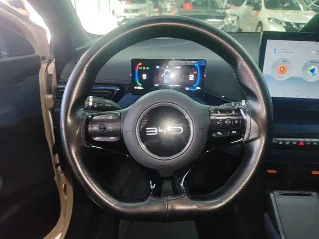 BYD Seagull — Фото автомобиля 10