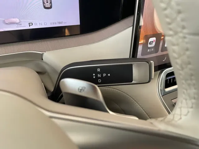 Denza Denza N8L 2025 Standard — Фото автомобиля 13