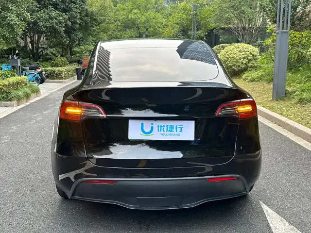 Tesla Model Y — Фото автомобиля 5