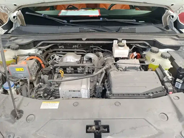 Dongfeng Fengshen L7 — Фото автомобиля 19