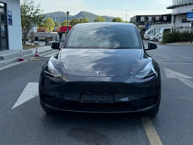 Tesla Model Y — Фото автомобиля 2