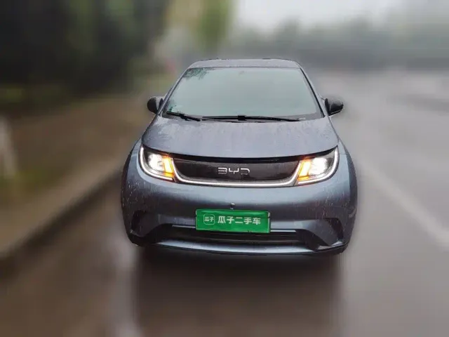 BYD Dolphin — Фото автомобиля 2