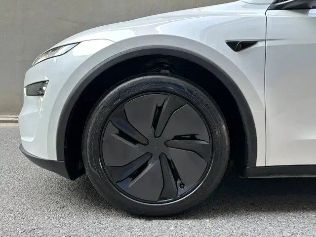 Tesla Model Y — Фото автомобиля 6