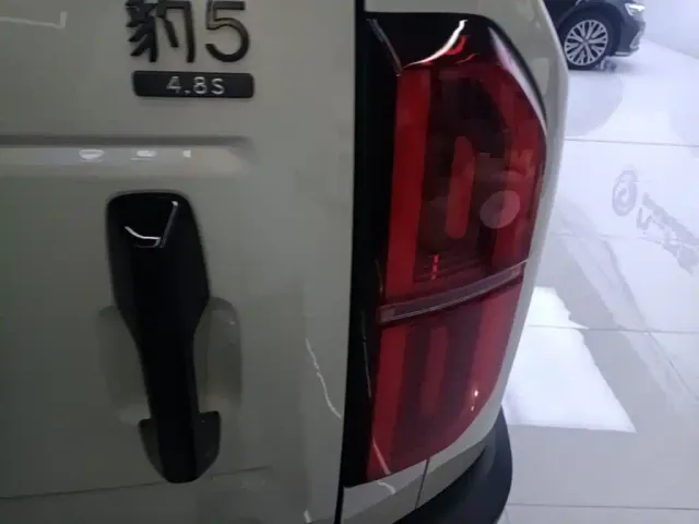 BYD FangChengBao Leopard 5 — Фото автомобиля 7