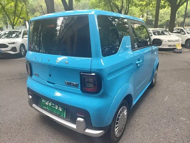 Livan Ruilan Blue Elf — Фото автомобиля 6
