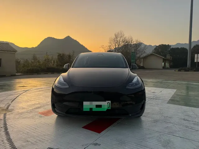 Tesla Model Y — Фото автомобиля 2