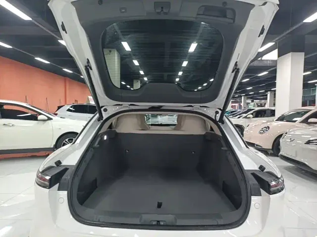 Forthing Xinghai S7 — Фото автомобиля 18