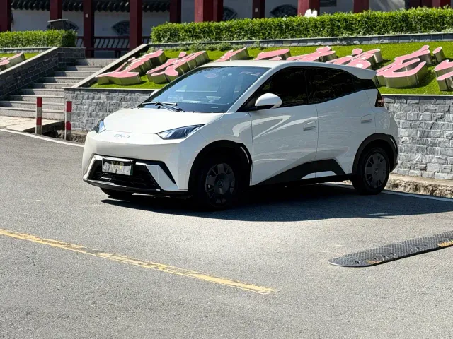Фотография автомобиля — BYD Seagull