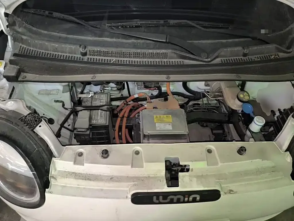 Changan Qiyuan Changan Lumin 2023 Model 205km Fragrant Edition — Фото автомобиля 21