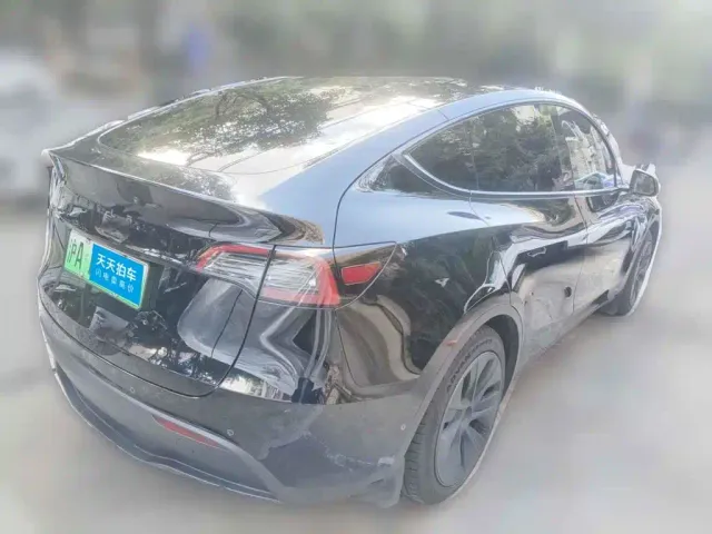 Tesla Model Y — Фото автомобиля 2