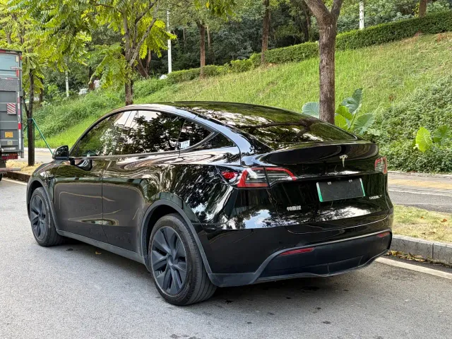 Tesla Model Y — Фото автомобиля 9
