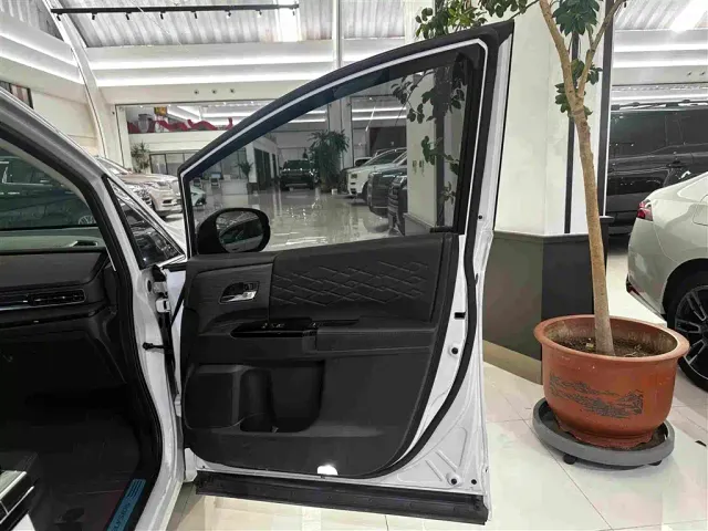 Honda Elysion — Фото автомобиля 30