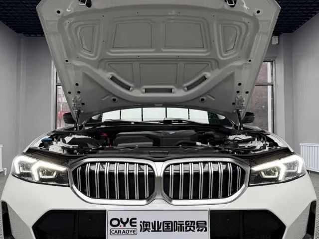 BMW 3 Series — Фото автомобиля 9