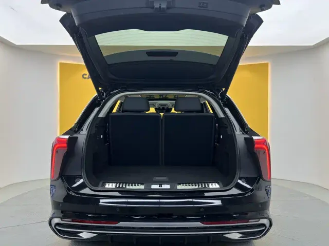 Hongqi E-HS9 — Фото автомобиля 12