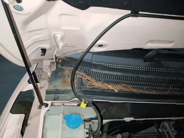 Dongfeng Nano BOX — Фото автомобиля 21