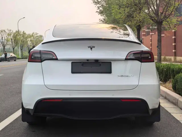 Tesla Model Y 2023 Long Range All-Wheel Drive Edition — Фото автомобиля 16
