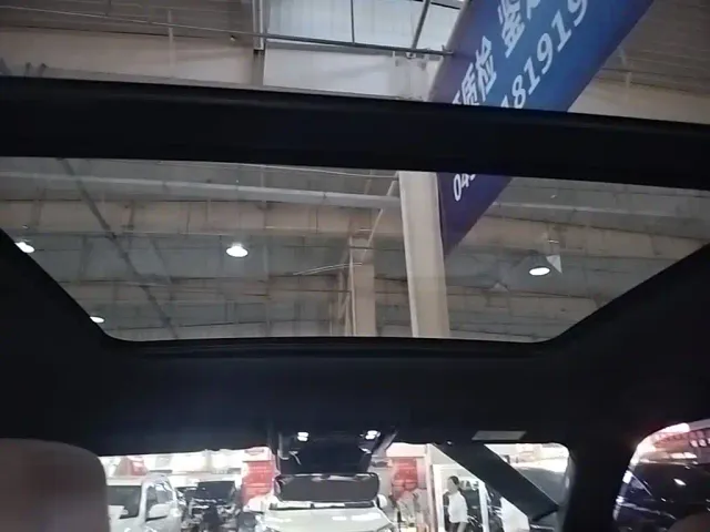 BYD FangChengBao Leopard 5 — Фото автомобиля 17