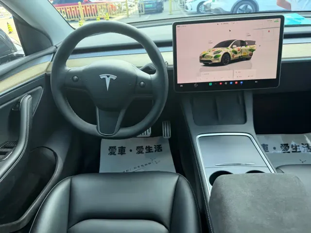 Tesla Model Y — Фото автомобиля 9