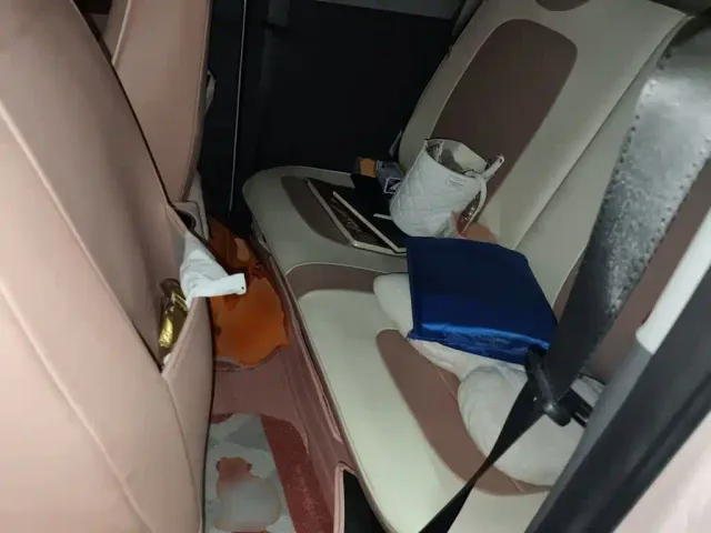 Wuling Hongguang Mini EV — Фото автомобиля 13