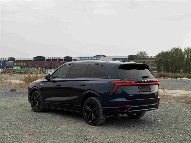 Wey Lanshan — Фото автомобиля 6